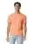 NEON CANTALOUPE c1717_nc_p.webp