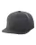 Dark Grey flexfit-110f-dark-grey.webp
