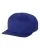 Royal Blue flexfit-110f-royal-blue.webp