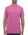 Azalea m&o-4800-azalea.webp