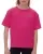 Heliconia m&o-4850-heliconia.webp